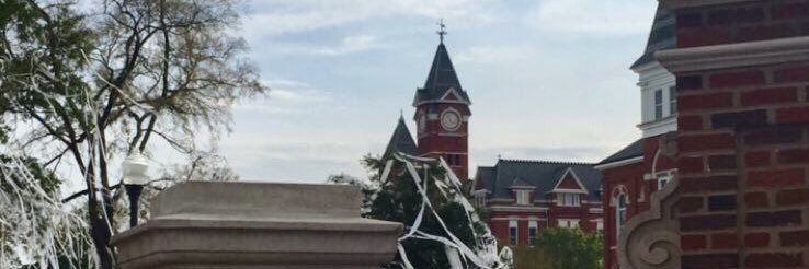 JPMuschamp's profile banner image