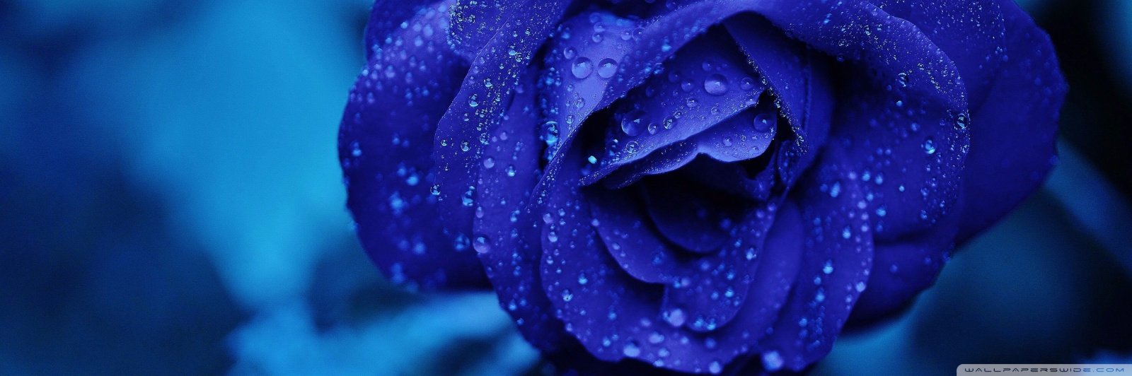 musharif_pathan's profile banner image