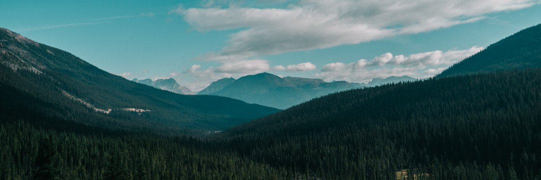 jaywillingham's profile banner image