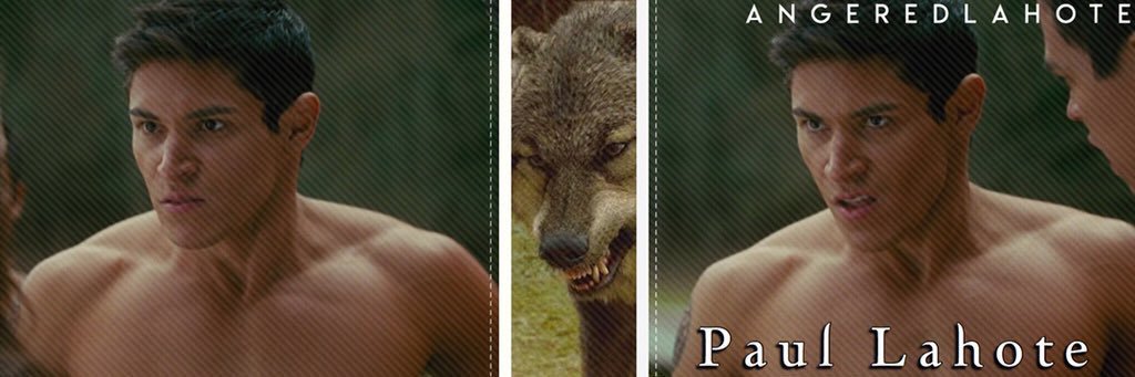 Paul Lahote banner