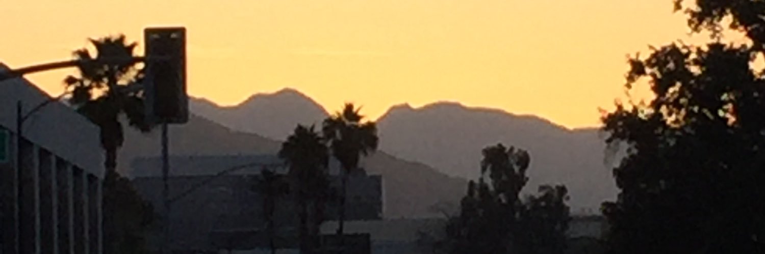 MiDo🌎🌕🇧🇪🐾🏳️‍🌈🎼🍓🐝🐔🦔🐁🐘📸🌳🦊🍝🎬🎥✏️📘 banner