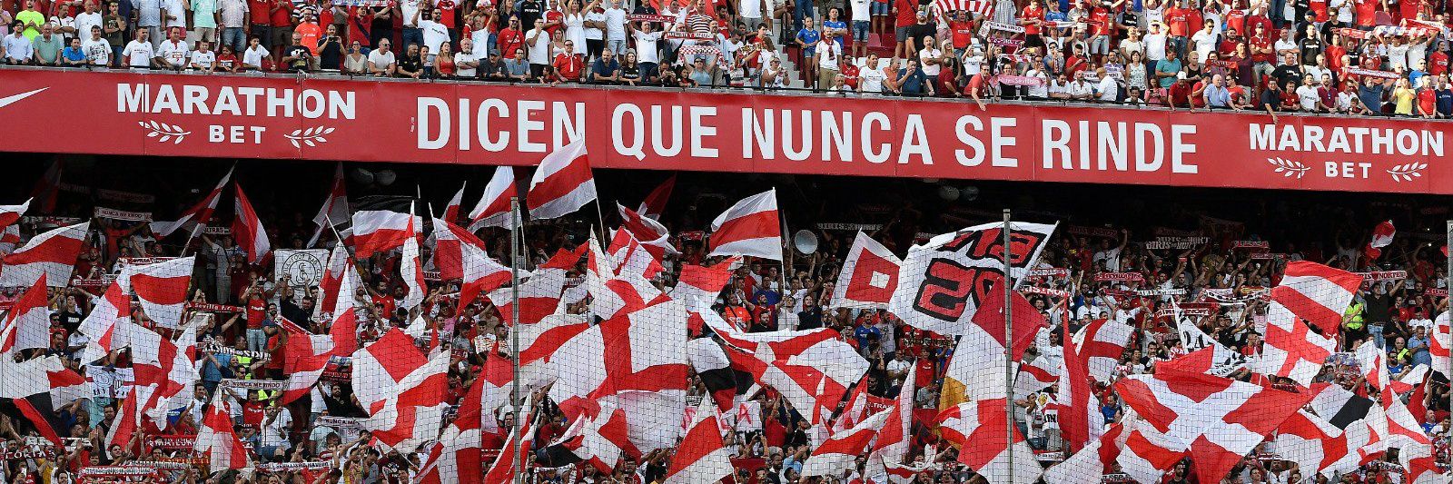 Twitter banner for @josegara9