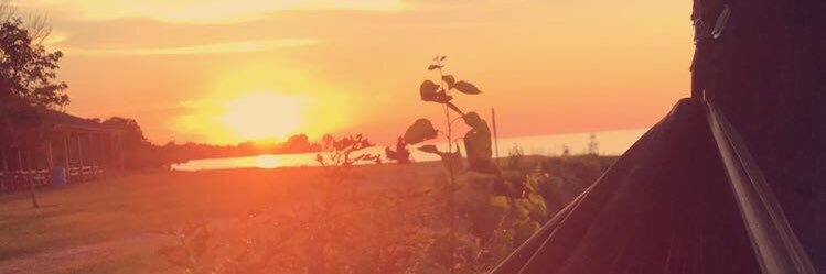 Nicole_P_1817's profile banner image