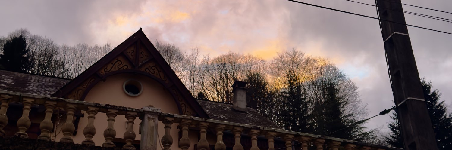 bleusaturne's profile banner image