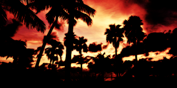 emblemwh0's profile banner image