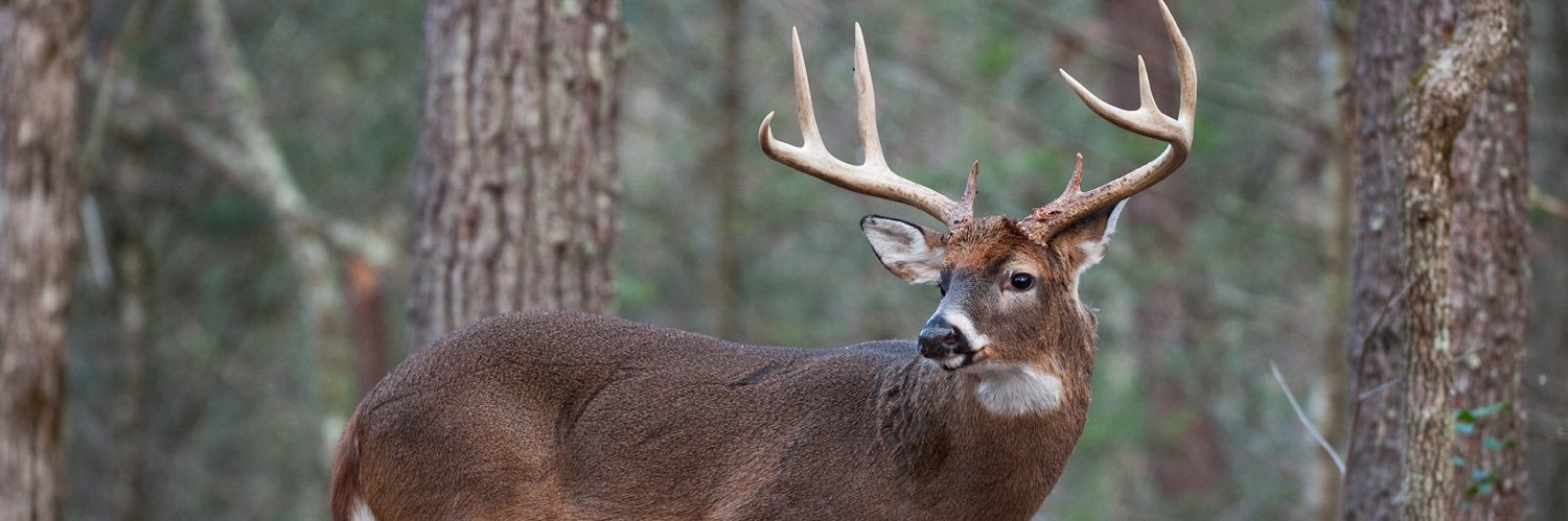 MequonMan's profile banner image