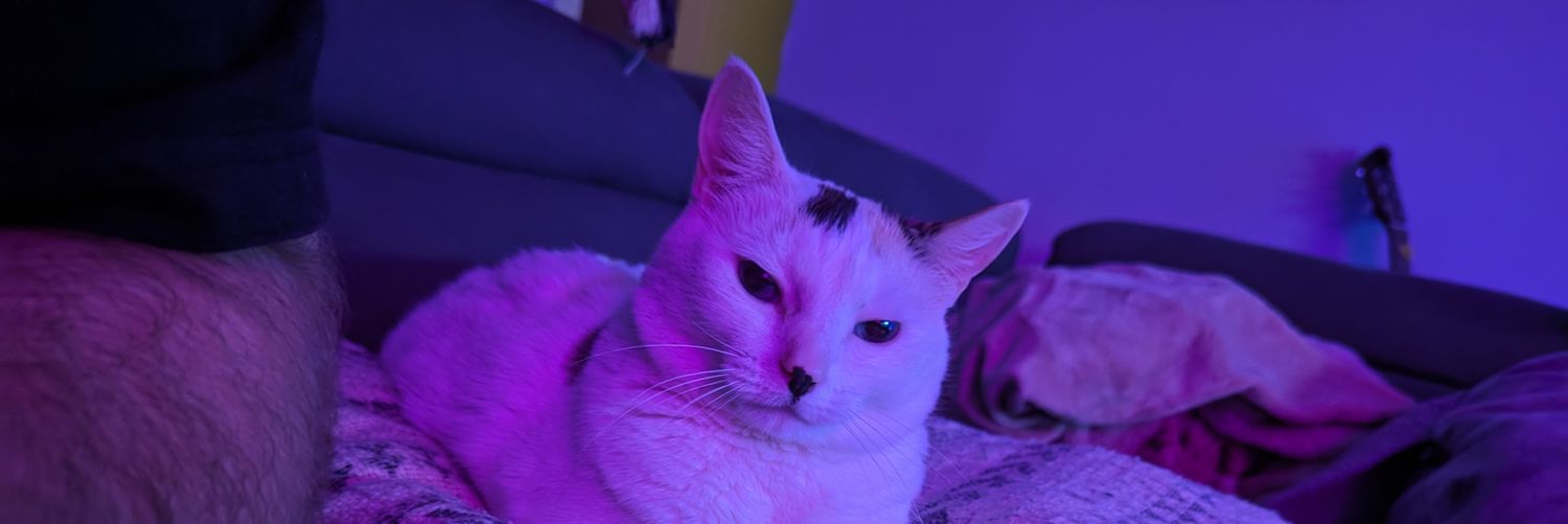 csilbs123's profile banner image