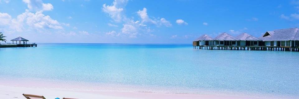 Law Of Attraction banner