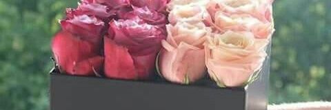 Taghreed210's profile banner image