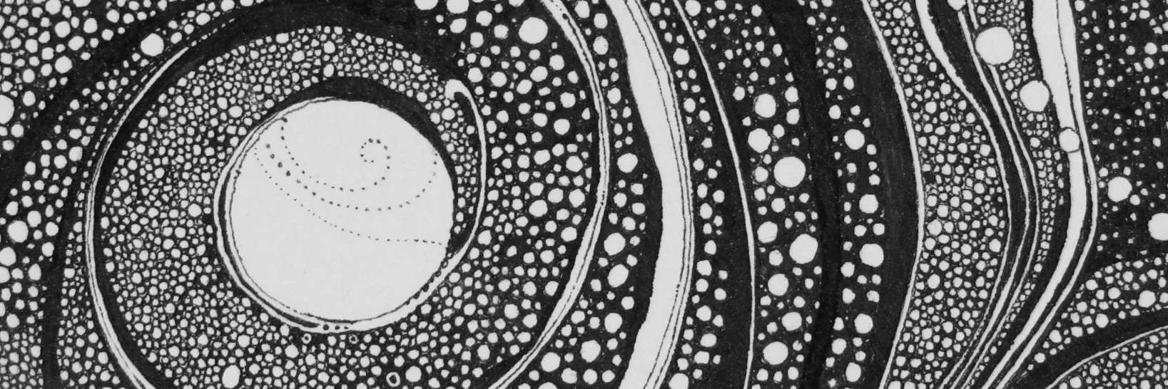 Talantyre's profile banner image