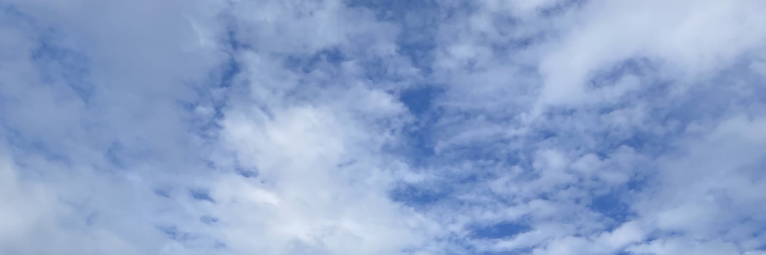 east st lunatic banner