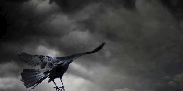 _Giorgio_x's profile banner image