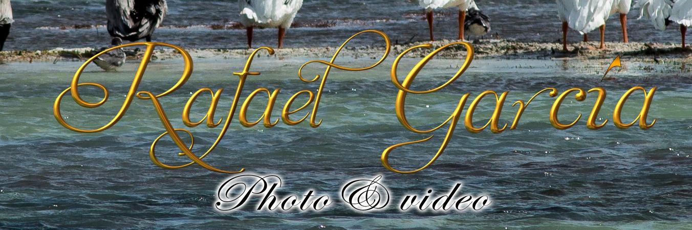 RAFAEL GARCIAM banner