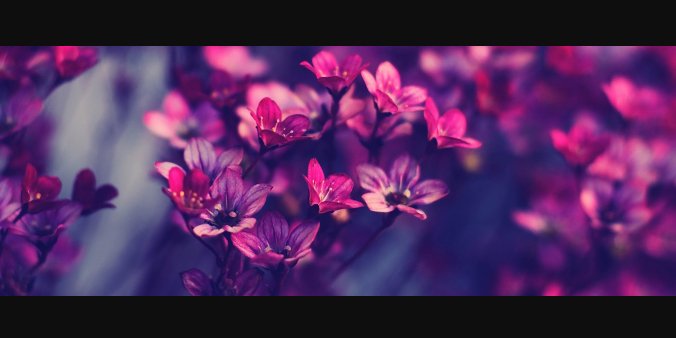 Sweet_Hazel_11's profile banner image