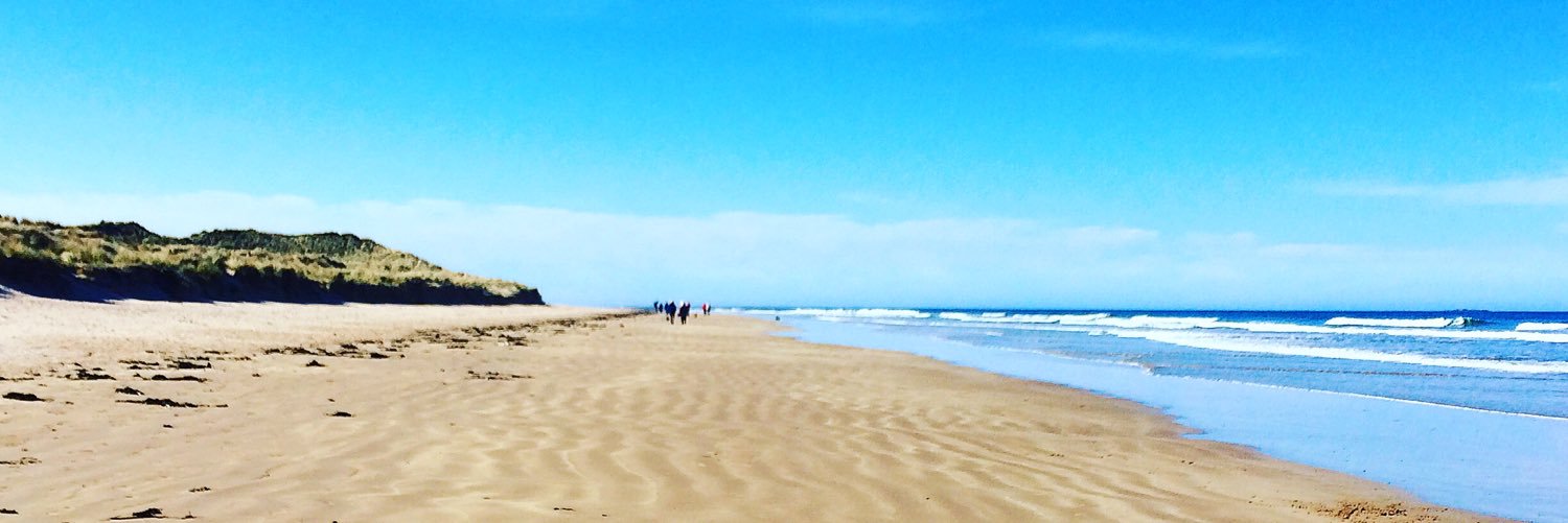 Carly Johnson banner