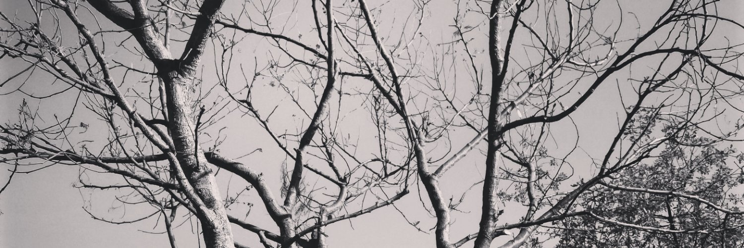 ChicoSalLios's profile banner image