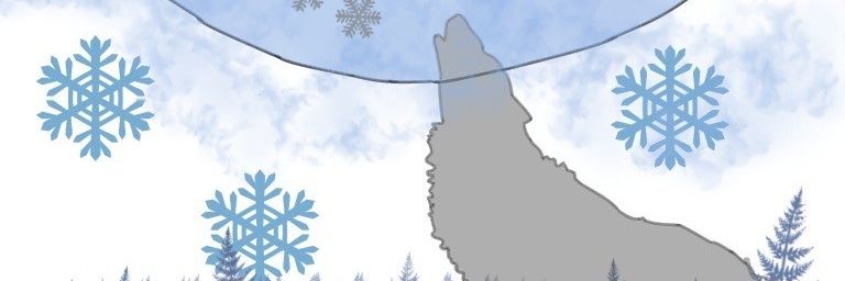 gute1109's profile banner image