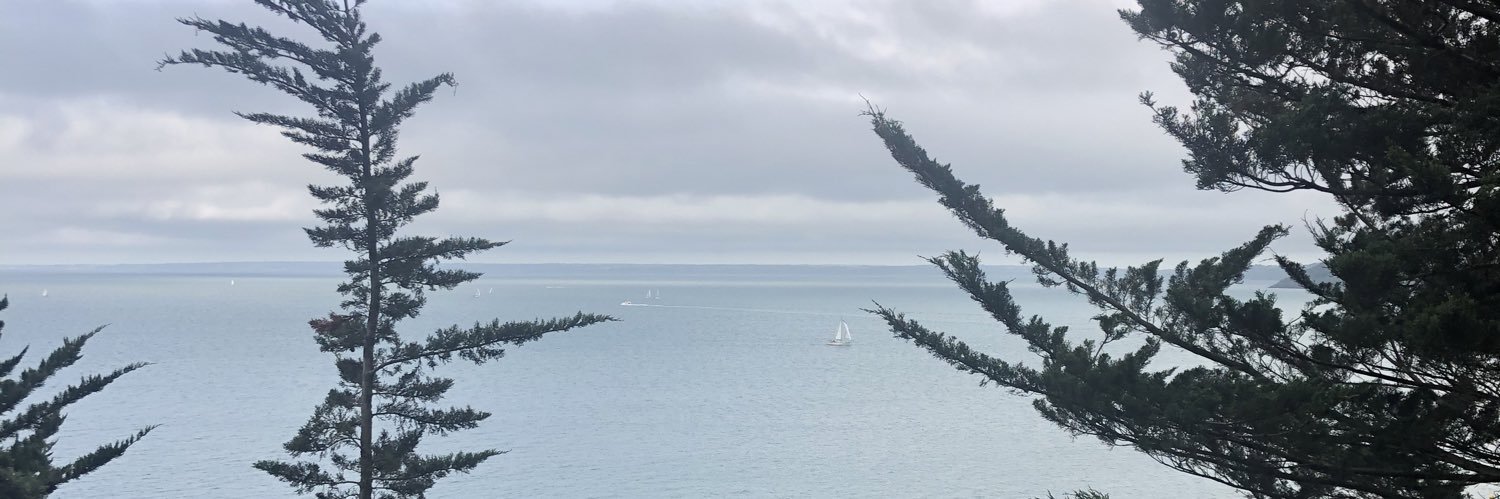 ManonInTrees's profile banner image