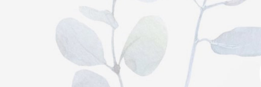 __s_95's profile banner image