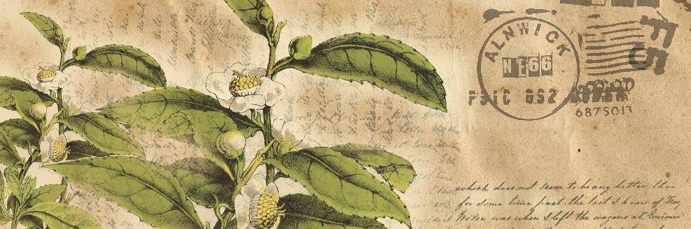 Bari Tea Brewery banner