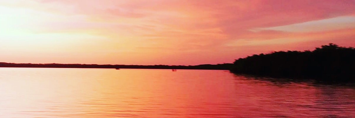LeaPierr's profile banner image