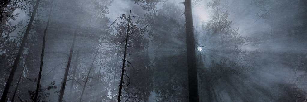 robkgrdn's profile banner image