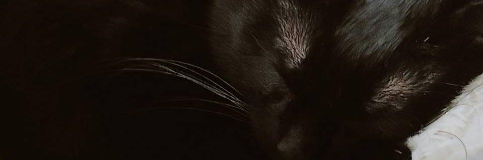 kirito_125's profile banner image