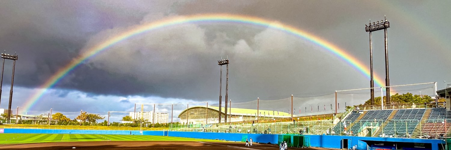 ひっし野球垢 banner