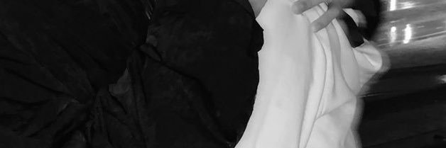 ales banner