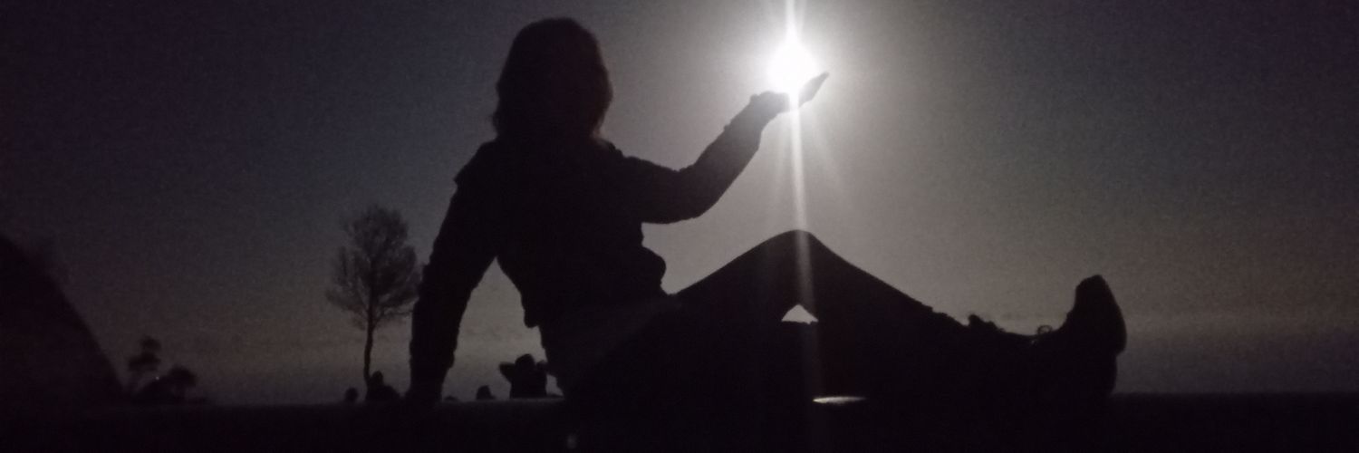 Pulgosini's profile banner image