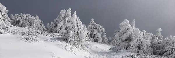 mrdelarenta Profile Banner