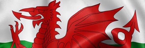 Gareth banner