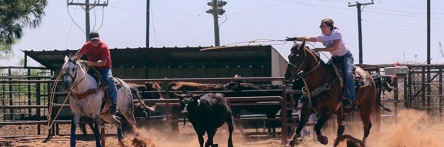 texasbai_'s profile banner image