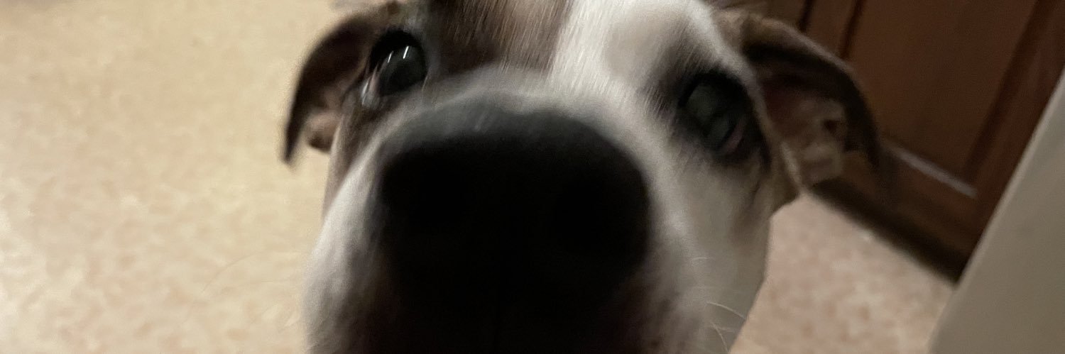 dylanis943's profile banner image
