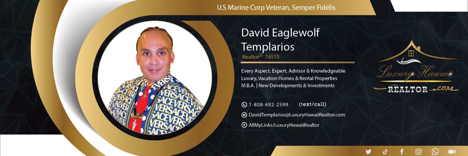 DavidTemplarios's profile banner image