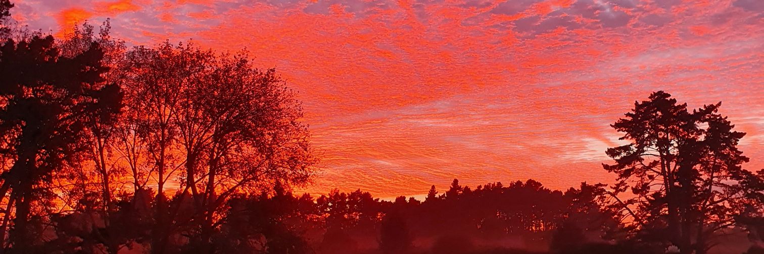 Ivy_Digital's profile banner image