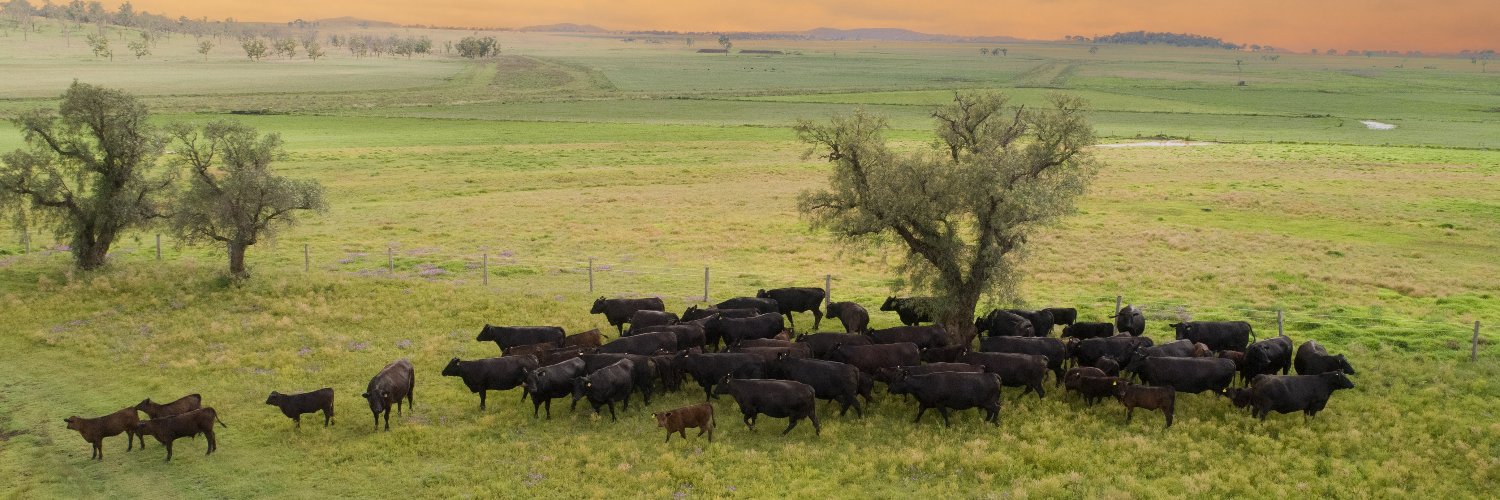 Foodaustralia's profile banner image