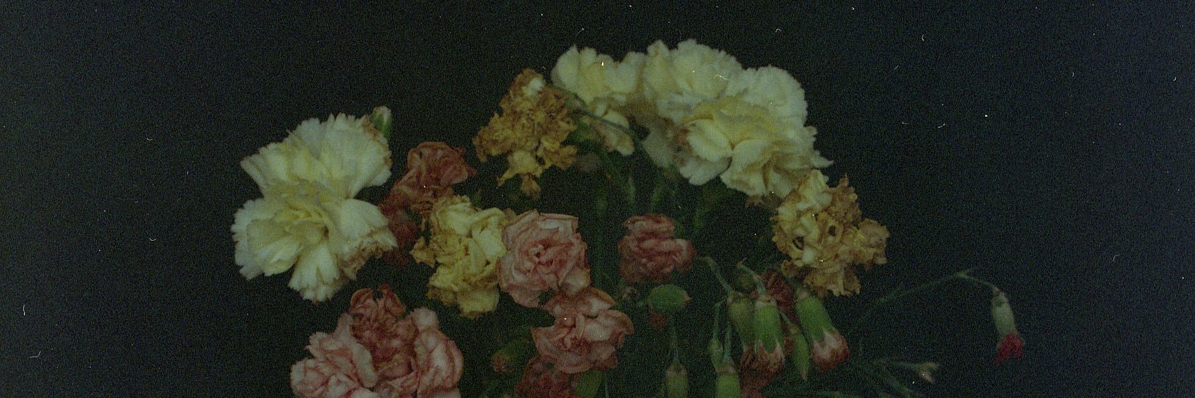 ryankevinstudio's profile banner image