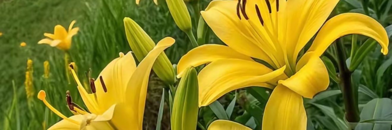 fttom551's profile banner image