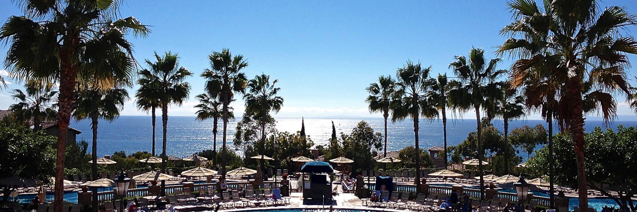 Tracy Van Mil banner