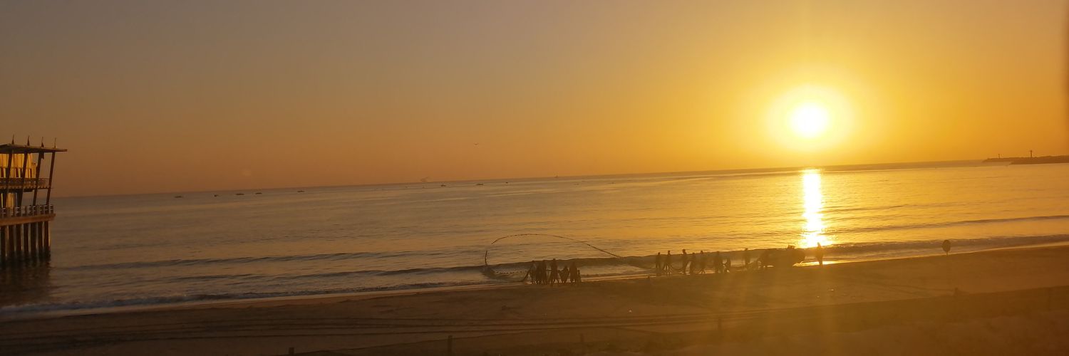Mis_Directed's profile banner image