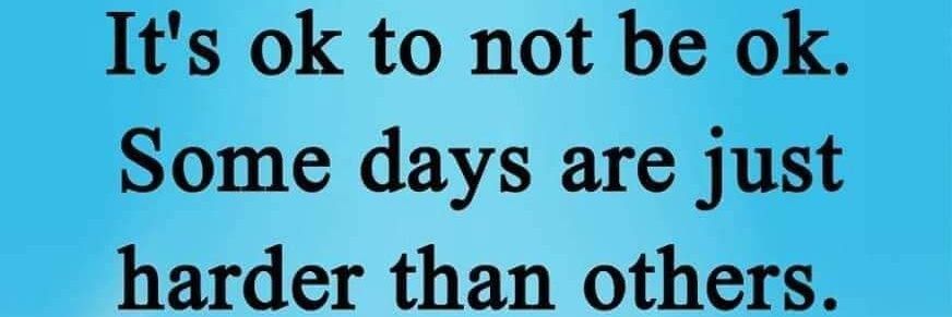 Danielle Campbell banner