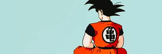 negrolauta's profile banner image