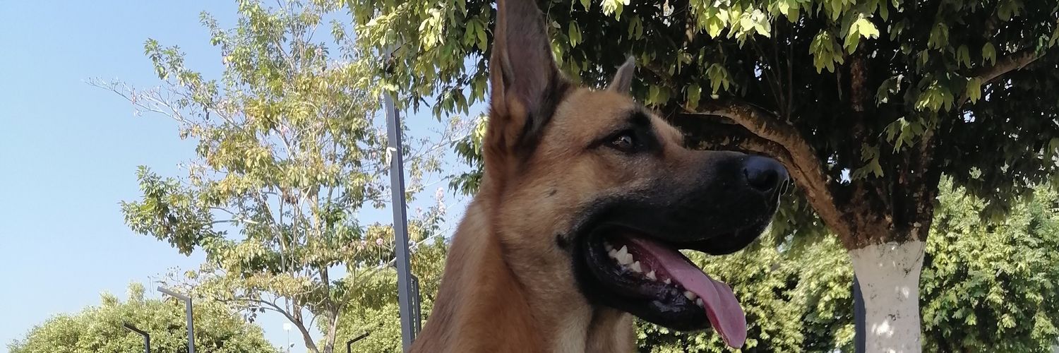 sebas048's profile banner image