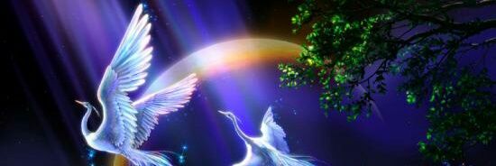 1 banner
