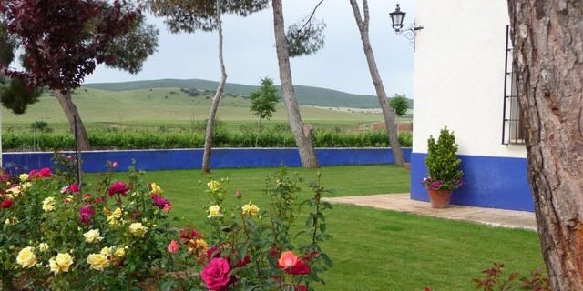 BodegasCalarHoy's profile banner image