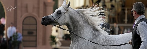 Meshar_i Profile Banner