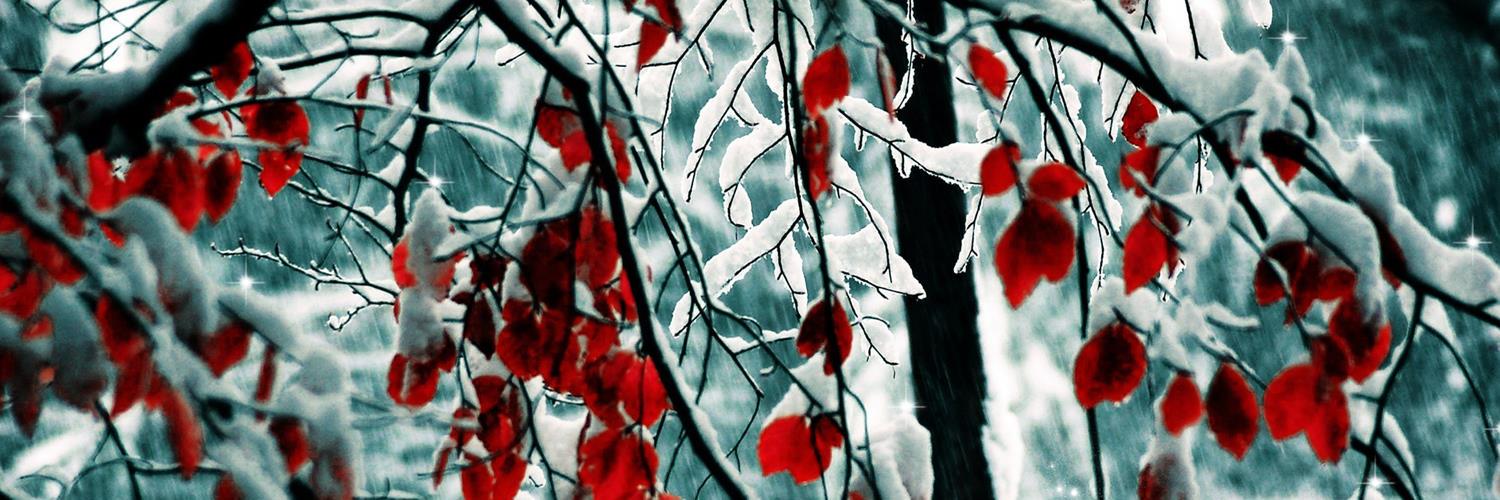 hernisiw88's profile banner image