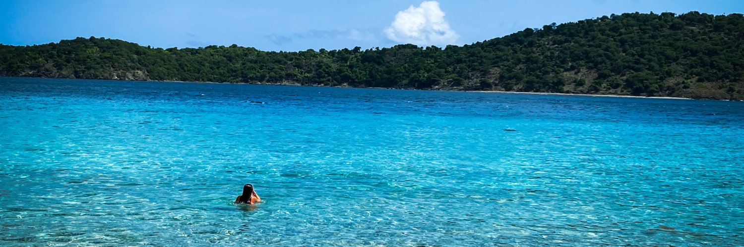 Alison Stonecypher banner