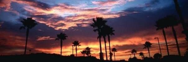 Daniel Simmons banner